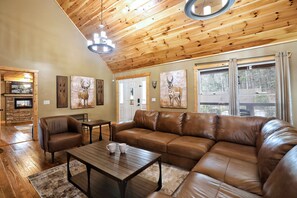 Televisión, chimenea, videojuegos y reproductor de DVD 