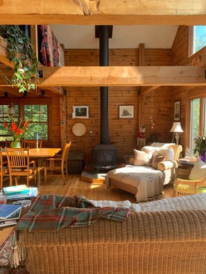 Télévision, jeux vidéo, lecteur de DVD, livres