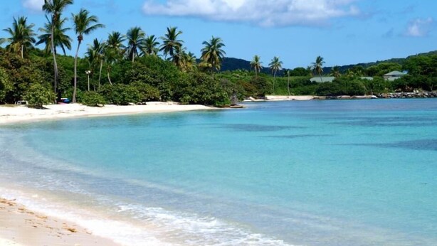 Ein Strand mit klarem türkisblauem Wasser, weißem Sand und Palmen.