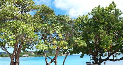 Sapphire Beach Beach Condo Free Wi-Fi - Hochsaison auf Verkauf !!!