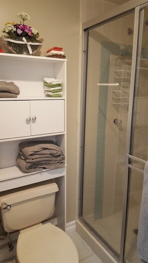 Douche, serviettes fournies, savon, papier toilette