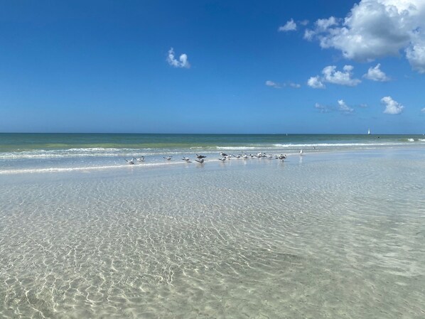 在海滩、沙滩椅、沙滩毛巾