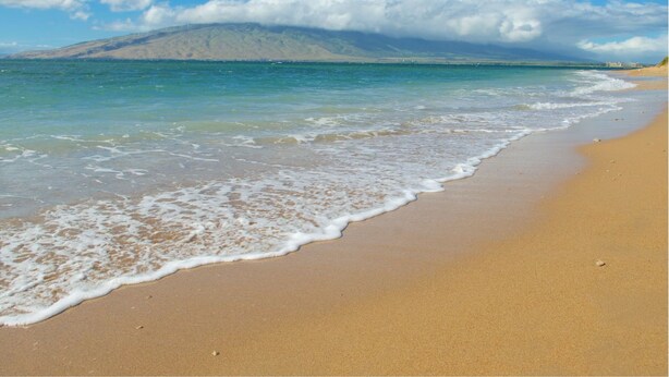 A beach with clear water, a sandy shore, and a mountain in the background. - Kauhale Makai: 1 Bedroom with Ocean Views, Fully Remodeled and Redecorated (Kihei, Maui)
