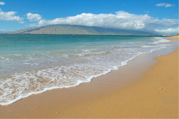 On the beach, sun loungers, beach towels