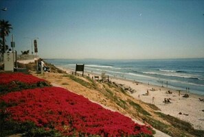 Una spiaggia con fiori rossi, un sentiero sabbioso e vista sull'oceano.