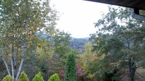 Ein angelegter Garten mit verschiedenen Bäumen und Sträuchern, einem klaren Himmel und einem fernen Gebirge.