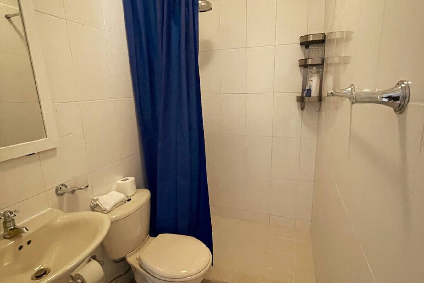 Un bagno con il water, un lavandino e una doccia.