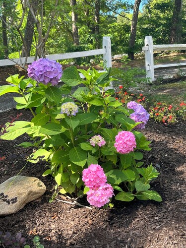 Highly Rated Cottage in Orleans, Cape Cod