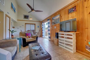 TV, DVD player, video library, stereo