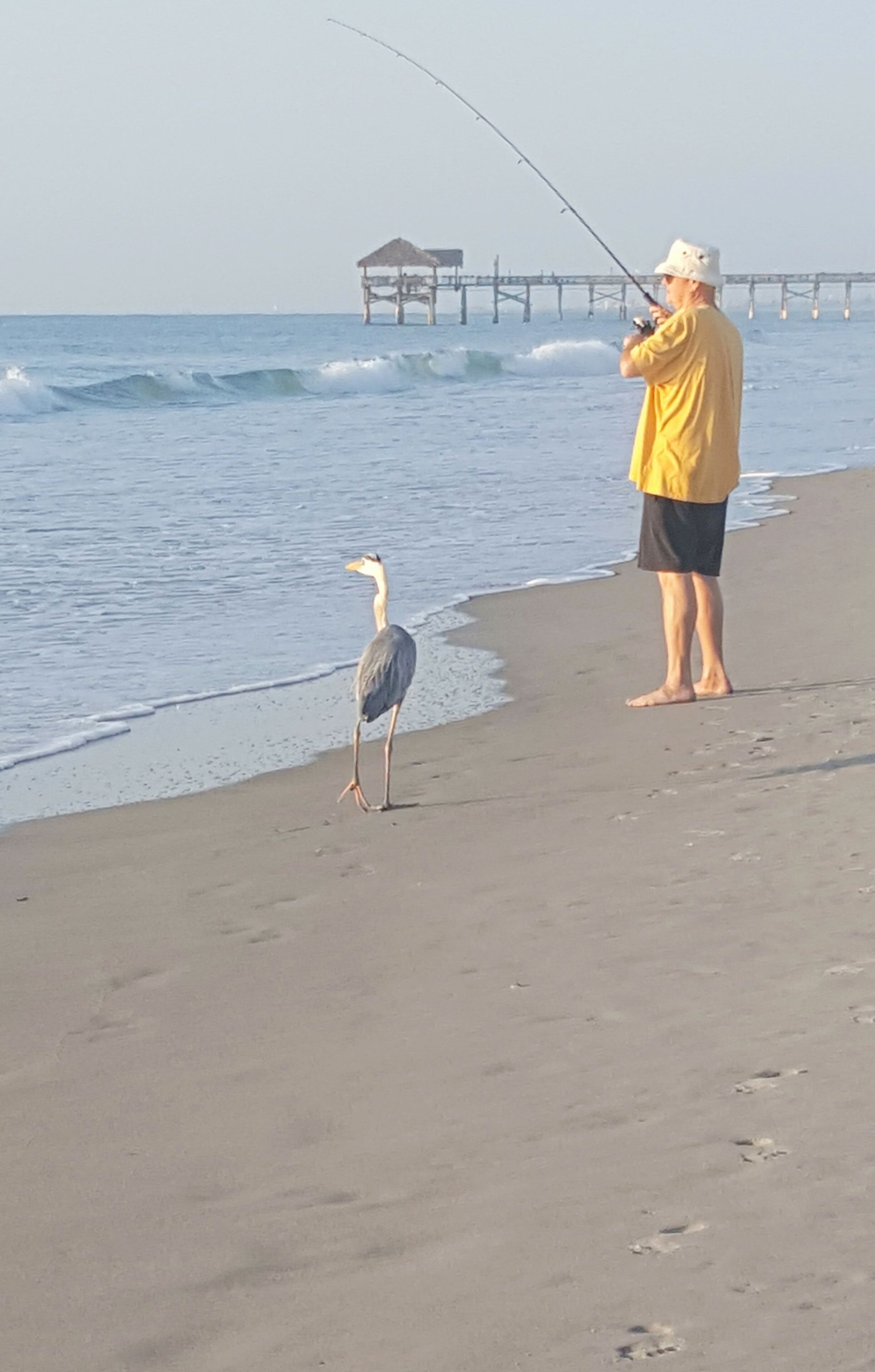 A beach scene with a person fishing and a bird standing on the sand.