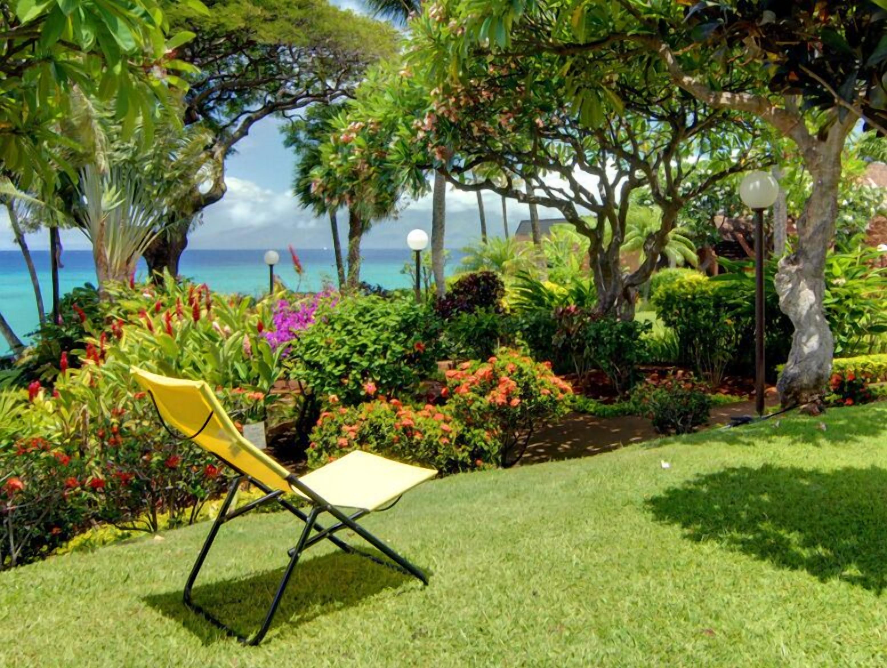 Um jardim com uma cadeira amarela, vegetação exuberante e vista para o oceano.
