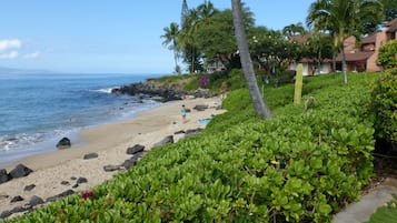 Playa en los alrededores, camastros y toallas de playa