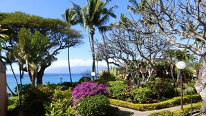 Um jardim ajardinado com palmeiras, plantas floridas e um caminho que leva a uma vista do oceano.