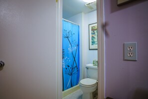 Shower, hair dryer, towels, soap - Secluded, Sunny Studio.  Fully Private: entrance, bath, bedroom, kitchen & Patio (Valley Stream)