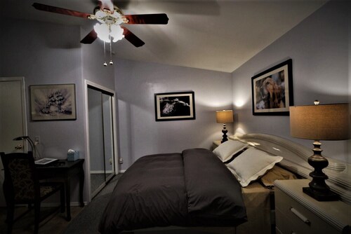 Secluded, Sunny Studio. Fully Private: entrance, bath, bedroom, kitchen & Patio