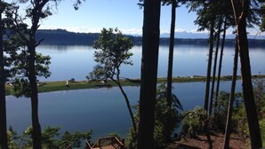 Une vue sur le lac, avec une terrasse en bois et une chaise, le tout entouré de grands arbres et sous un ciel dégagé.