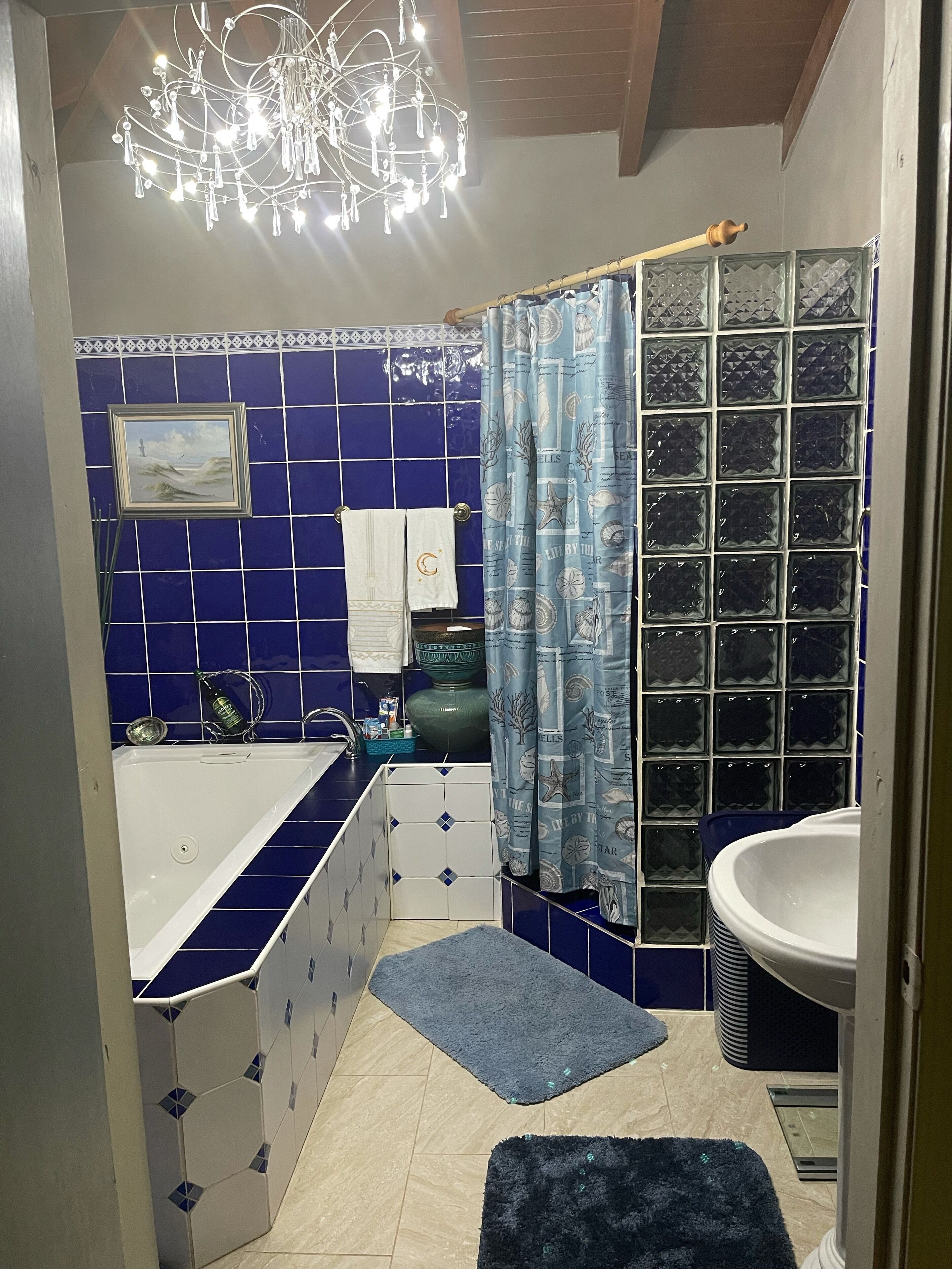 Shower, jetted bath, hair dryer, towels