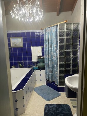 Douche, baignoire à remous, séchoir à cheveux, serviettes fournies