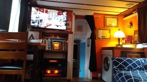Een gezellige kamer met een open haard, een televisie, een boekenkast en een bed.