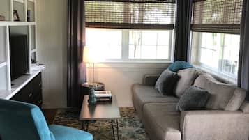 Smart TV, fireplace, books