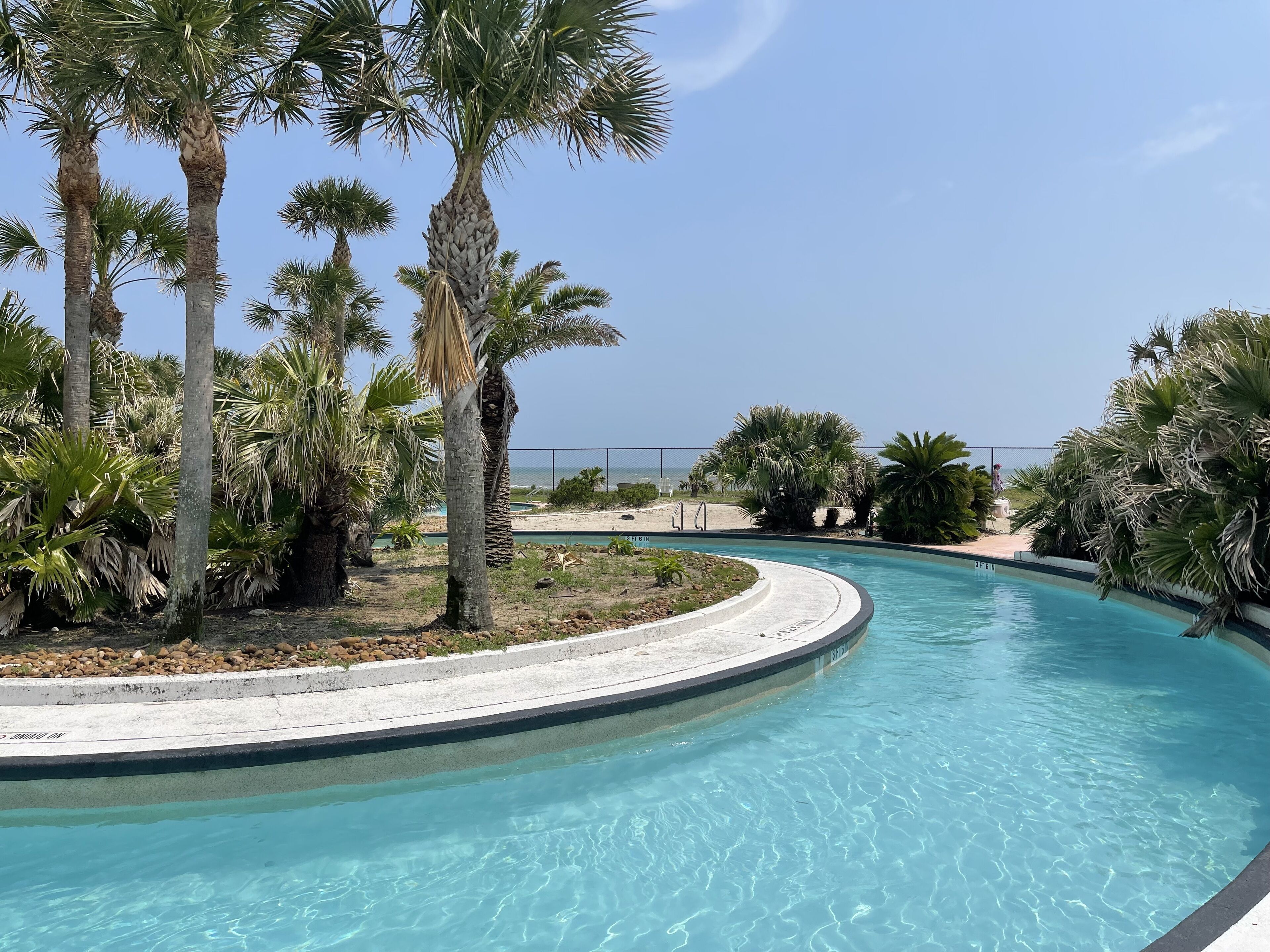 A pool surrounded by palm trees and a clear sky.