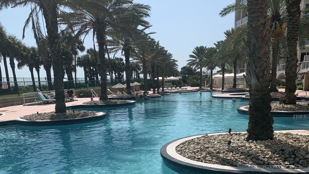 Una piscina con acqua cristallina, circondata da palme e lettini.