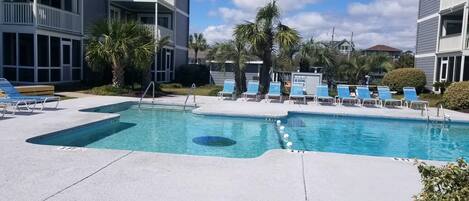 A swimming pool with lounge chairs, palm trees, and a 'No Diving' sign.