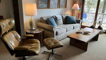 Smart TV, fireplace, DVD player, books