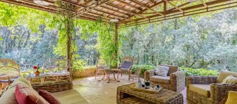 Sienne, la vraie Toscane! Propriété entière une piscine 20P A/C Jacuzzi WiFi