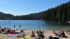 Ein Strand mit badenden und sonnenbächelnden Personen, umgeben von Wald.