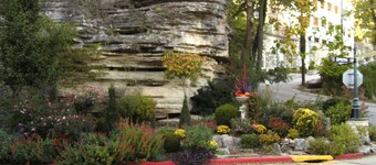 Goats! 85" TV, Nintendo, Billiard Table ...Rest, Relax, Game On! Free 4th Night!