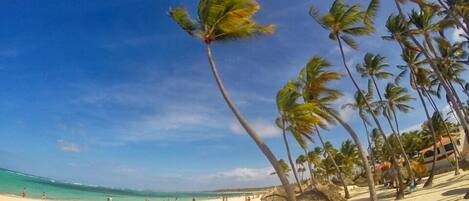 Beach nearby, sun-loungers