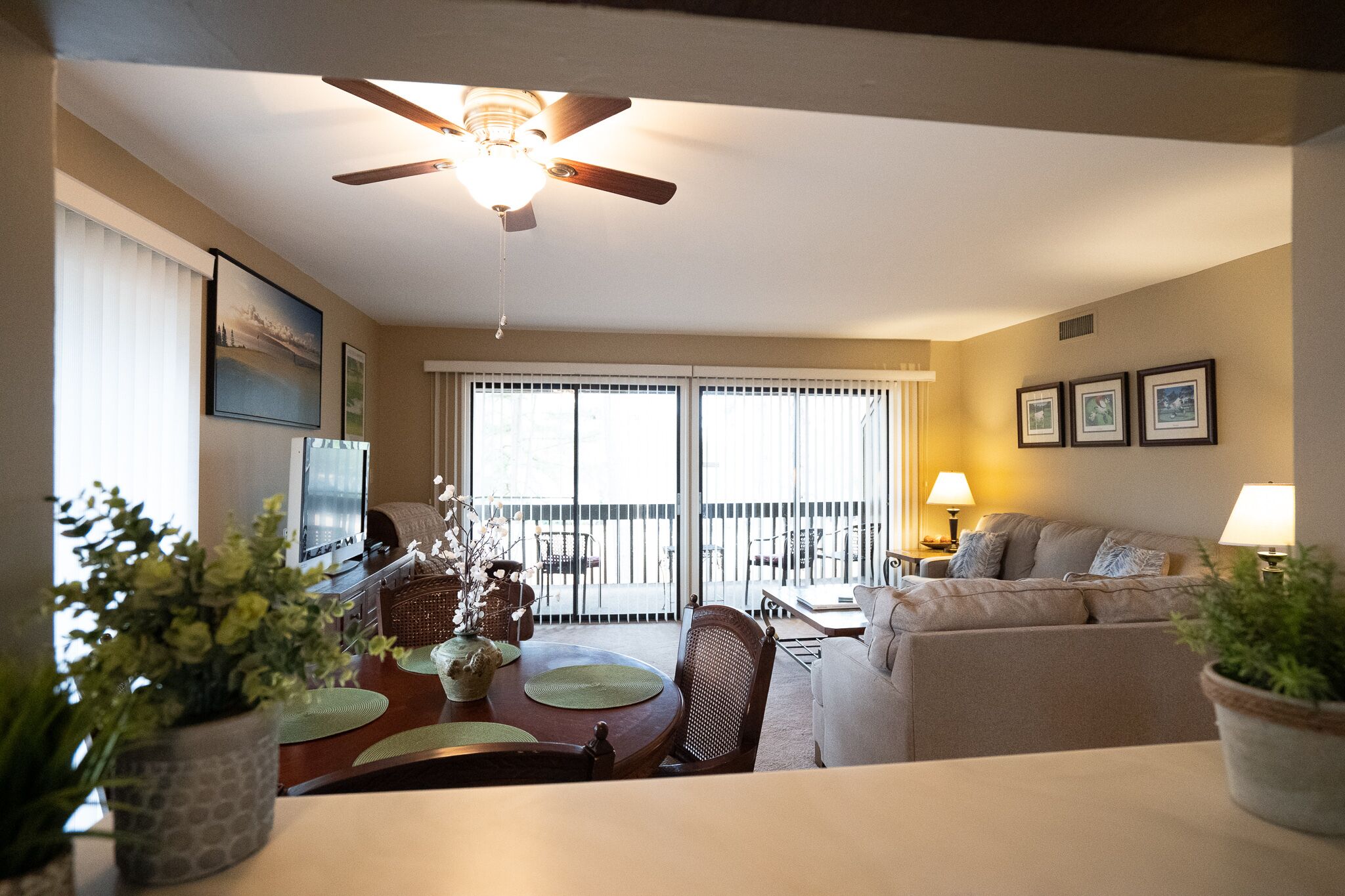 Smart TV, DVD player, printers