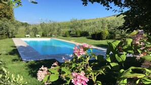 Une piscine entourée d’une végétation luxuriante et de plantes en fleurs.