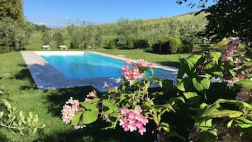 Outdoor pool, sun loungers