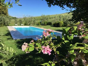 Outdoor pool, sun loungers - Enchanting Private Villa in Chianti Rolling Hills:Free WiFi,AC,Garden,Pool,View! (San Gusme)