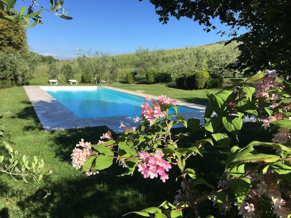 Piscine extérieure, chaises longues