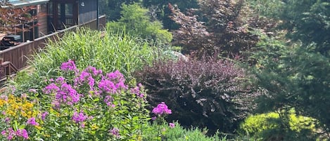 Een huis met een terras dat uitkijkt op een tuin met verschillende planten en bloemen.