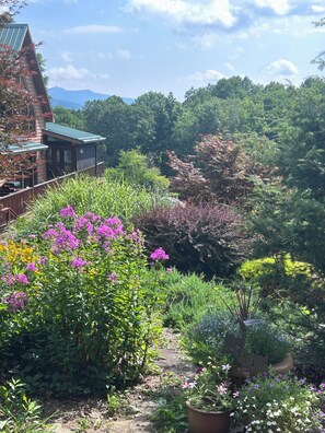 A house with a deck overlooking a garden with various plants and flowers.