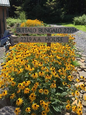 Terrein van de accommodatie