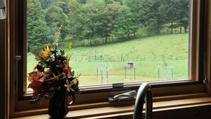 A window with a view of a green field and trees, a chair, and a vase with flowers. - Blue Ridge Mountains (West Jefferson)