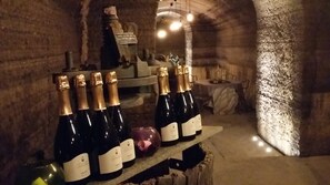 Bar (on property) - Silvan's Retreat in a quiet rural place in Viterbo's Province, near BAGNOREGIO (Castel Cellesi, Bagnoregio, Viterbo Lazio, )