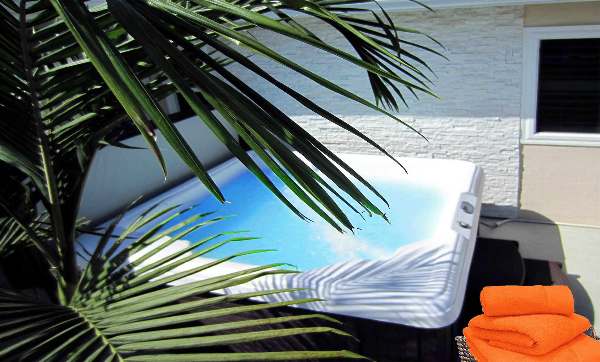 A spa tub with a blue sky and mountain view, a palm tree, and an orange towel.