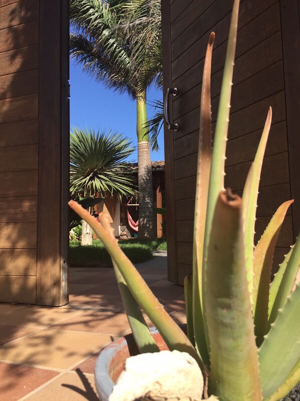 Área da propriedade