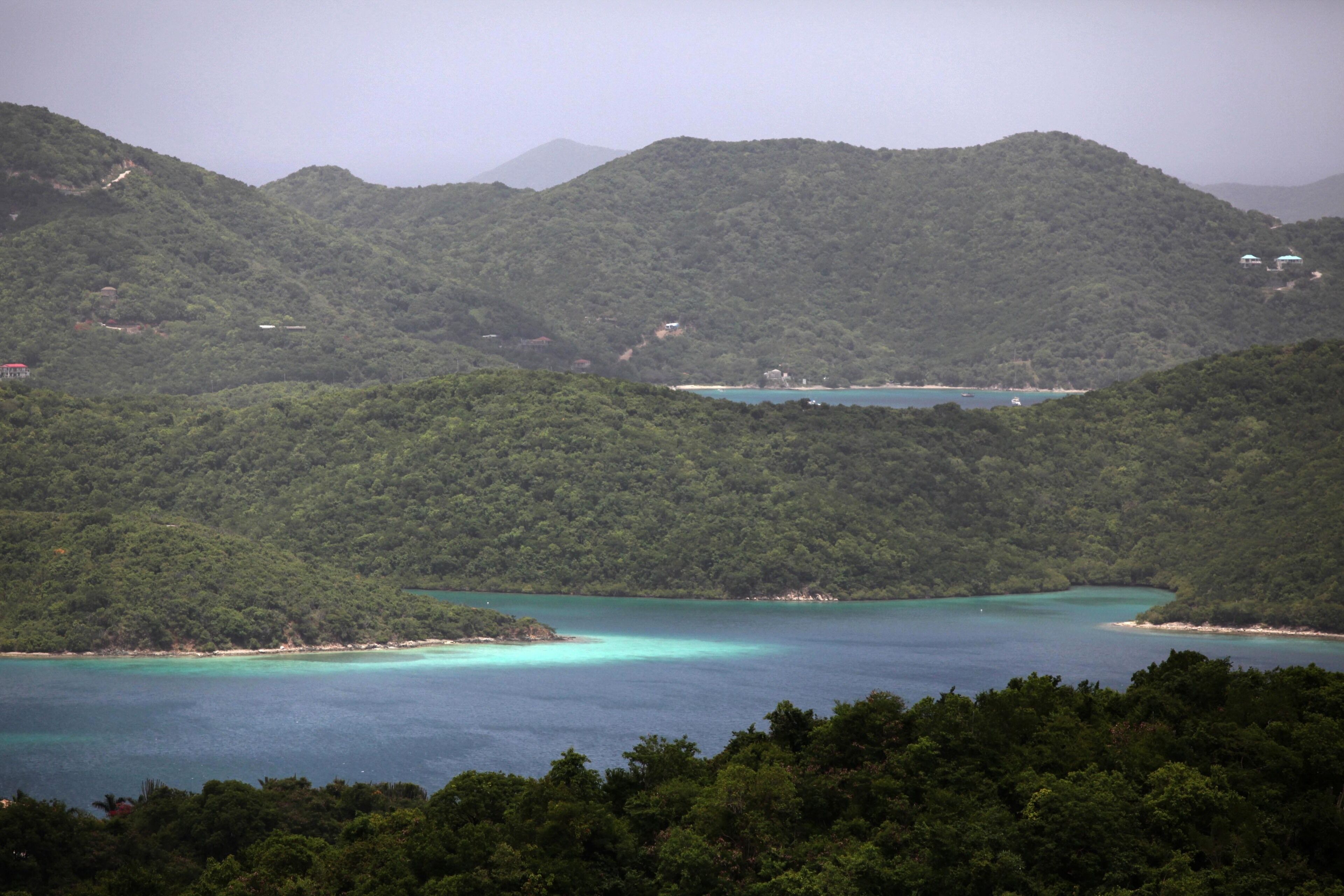 A coastal landscape with dense forested hills and a calm sea.