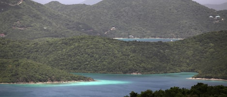 A coastal landscape with dense forested hills and a calm sea.