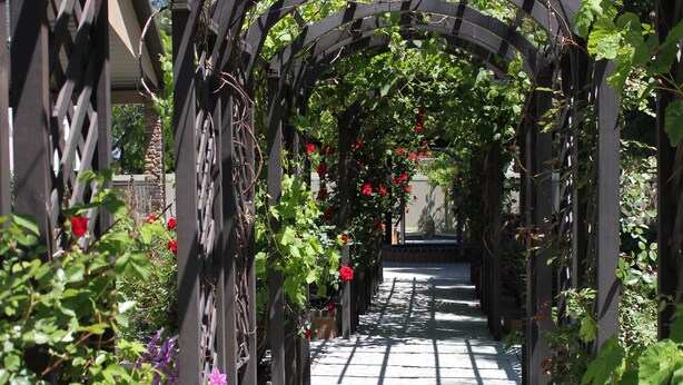 Un sendero cubierto en un jardín, con una estructura de madera de celosía rodeada de diversas plantas y flores.