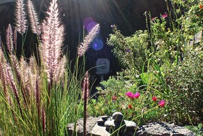 Escape to a serene garden oasis with lush plants, vibrant blooms, and natural rocks.