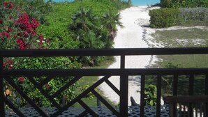 A pathway leading to a beach with palm trees and tropical vegetation. - EXCLUSIVE PROPERTY BEACHFRONT CONDO 3bed/3Bath DIRECTLY on beautiful HOOPERS BAY (Georgetown)