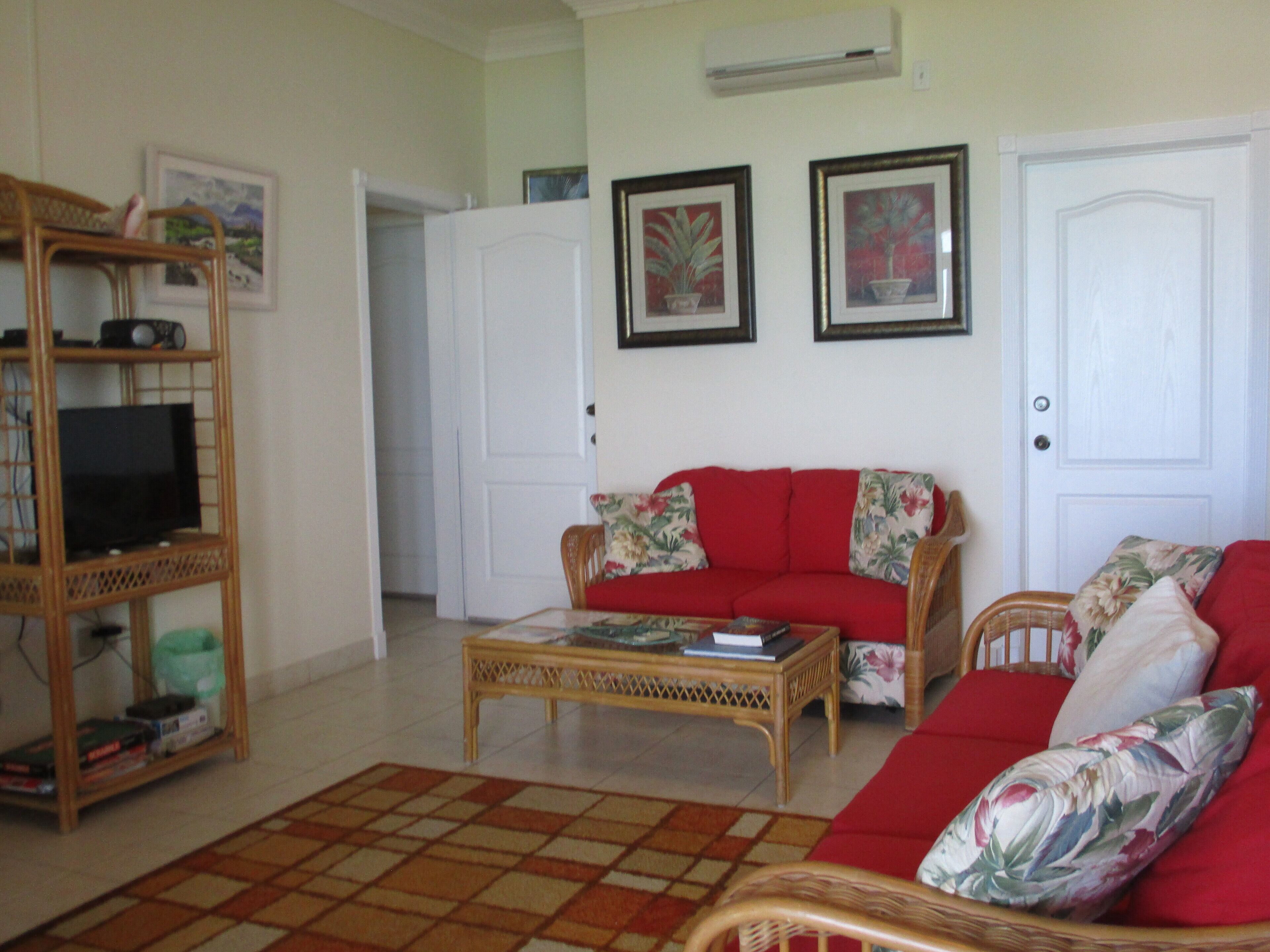 Smart TV, DVD player, books, stereo